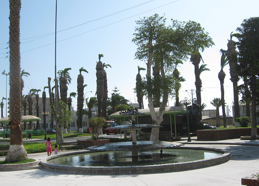 Plaza del Tren, fontana con palomas y pato