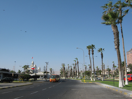 Avenida San Martn, palmeras y casa de Armada
                    de Chile