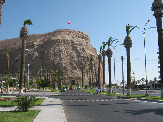 Hileras de palmeras con el cerro Morro en
                          el abril 2010, con pista amplia, con la plaza
                          sin casas. Tranquilidad no hay ms.