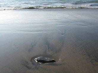 Laucho-Strand, schwarzer Sand (03)