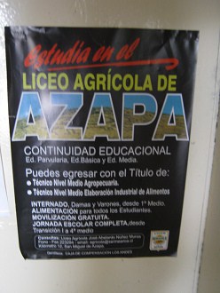 Pster del "Liceo agrcola de
                        Azapa"