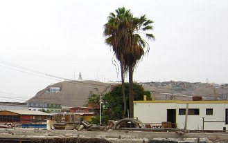 Sicht vom Balkon des Hotels Yungay auf
                          Arica mit Nebel auf die Aussichtsplattform
                          "Kreuzberg" ("Cerro la
                          Cruz"), Nahaufnahme