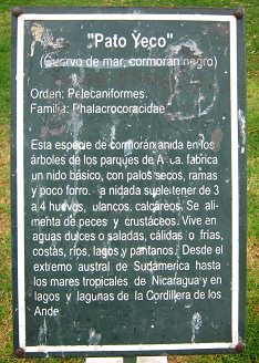 Plaza Baquedano, placa sobre aves
                                  (cormoranes grandes), primer plano
