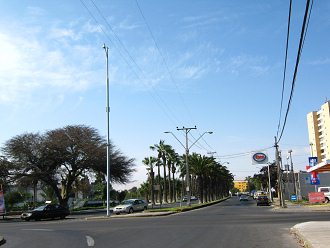 Die Sicht auf die Velasquez-Allee