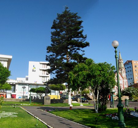 Der Arbeiterplatz in Arica, eine Tanne,
                            ein Denkmal und eine Markuskirche,
                            Panoramafoto