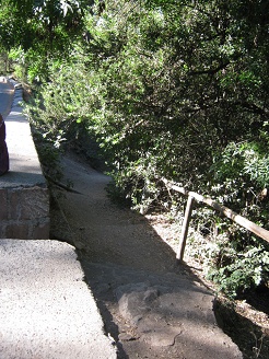 El inicio del sendero Anahuac
