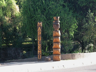 Der Totempfahl vor dem botanischen Garten
                          Mapulemu, Nahaufnahme