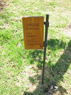 Tafel
                          des Lingue