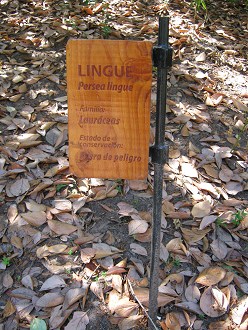 Tafel des Lingue