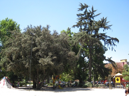 Plaza Brasil, parque infantil con un
                        castillo con rboles