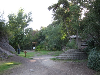 Der weitere Weg durch den botanischen
                          Garten "Mapulemu"