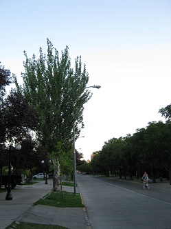 Valdivia-Allee, das Strassenbild