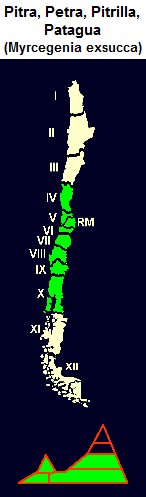 Pitra, mapa y diseo grfico de la
                                distribucin de la 4 a la 10 regin de
                                Chile