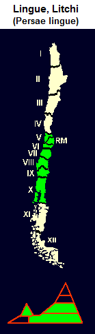 Lingue / Litchi, Karte und Grafik
                                  der Verbreitung