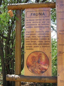 Grosse Tafel der zentralen Zone von
                            Chile (zona central), Teil 1