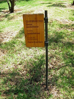 Placa del Quebracho (lat. Senna
                        candolleana, Cassia closiana