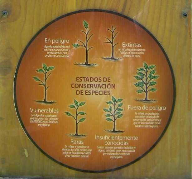 Placa
                          grande para desarrollo sostenible integral,
                          diseo grfico con los grados de
                          distribuciones de las plantas: extintas, en
                          peligro, vulnerable, raras, insuficientemente
                          conocidas, y fuera de peligro.