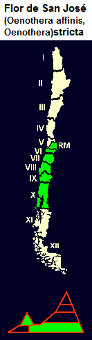 Flor de San Jos, mapa con la
                                distribucin de la 5 a la 10 regin en
                                Chile central y del sur