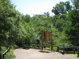 Grosse Hinweistafel auf das kosystem
                          Wald (01)