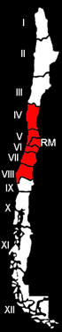 Litre, Karte und Grafik der
                                Verbreitung von der 4. bis zur 8. Region
                                Chiles