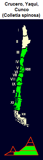 Crucero, Yaqui, Cunco, Karte und
                                Grafik der Verbreitung