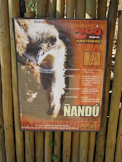 Tafel des Nandu