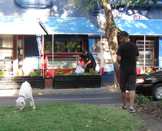 Cumming-Allee, Herr mit Kampfhund ohne
                          Leine 01, Nahaufnahme