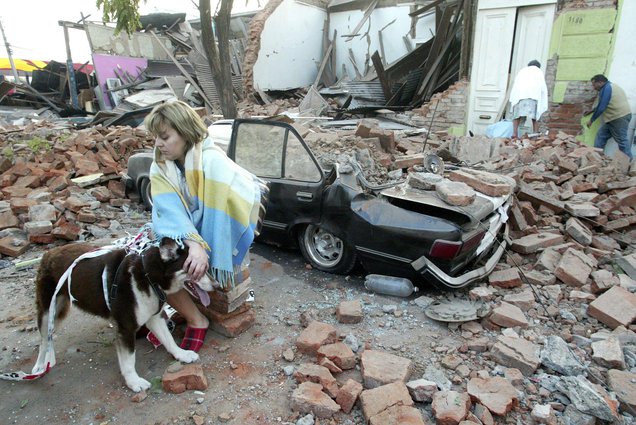 Talca,
                  paredes de ladrillo destruidos, calle de escombros con
                  perro [25]