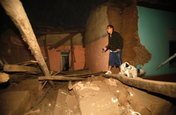 Chile
                  despus del terremoto del 27/2/2010, revisin de
                  ruinas con perro [35]