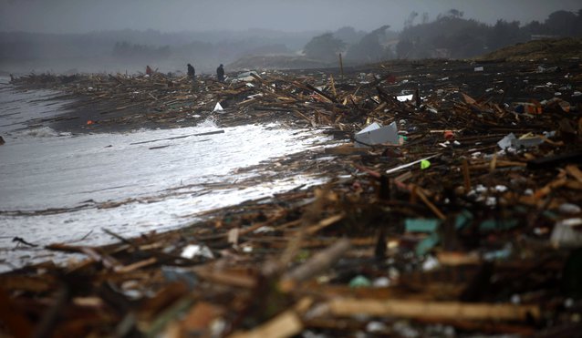 La playa
                  de Pellehue con escombros del lugar despus del
                  terremoto y despus del tsunami del 27/2/2010 [114]