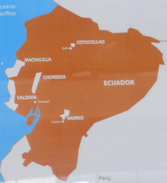 El mapa del museo con las culturas Narrío,
                  Valdívia, Chorrera, Machalilla y Cotocollao en Ecuador
                  de hoy (Valdívia fue 2.000 años antes de Chorrera
                  [web12])