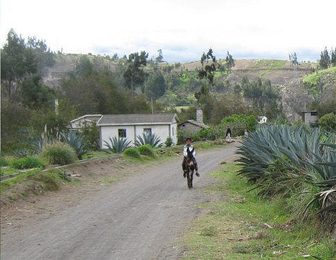Kind und Eselreiten ist hier in Huasalata
                          ganz normal