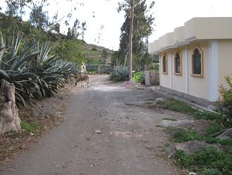 Haus (rechts) und Esel am
                                    Pflock (links)