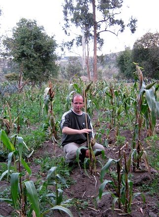 Michael im geschdigten Maisfeld mit Stock (04),
              bei einer kleinen, unentwickelten Maispflanze