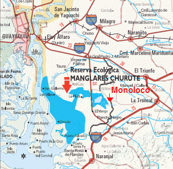 Mapa del trayecto Guayaquil-Machala con
                            la indicación de la reserva ecológica
                            "Manglares Churute" [9]