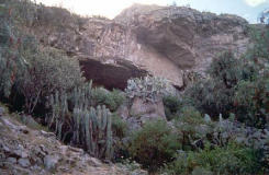 Höhle Pikimachay / Piqimachay /
                        Piquimachay, Eingang, Foto Nr. 3