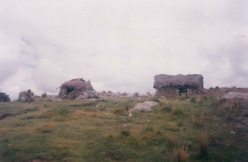 Fire house and dormitory house