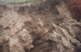 Slope of the country road with heavy erosion,
                      closeup
