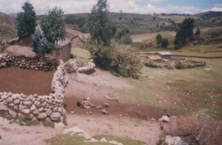 Pastizal con muros de campo en piedras