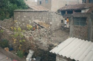 Cock and hen in the
backyard, and a football game Cock and hen in the backyard, and a
football game