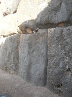 Cusco Sacsayhuamán, giant zigzag wall, detail 20