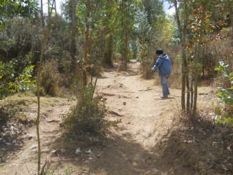 Cusco Sacsayhuam�n 13, the walk to the
              "Zone X" (Laco, Moon Temple): trail passing the
              forest with a guide