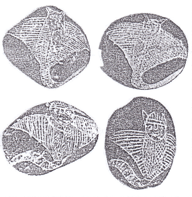 Piedras
                    grabadas mostrando murcilagos gigantes (01)