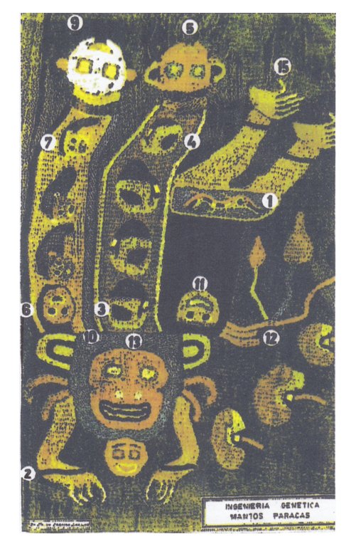 Fig.
                                86: el tejido de Paracas con la
                                ingeniera gentica