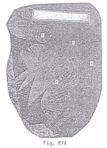 Fig. 87A con un
                            astrlogo 01
