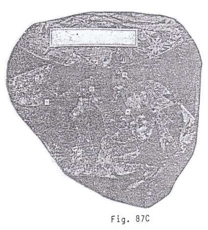 Fig. 87C con un
                            astrlogo 03