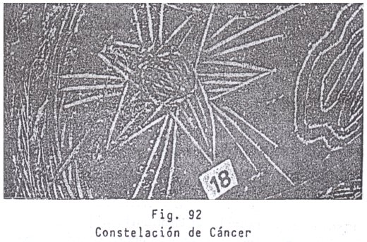 Fig. 92: la
                            constelacin del Cncer