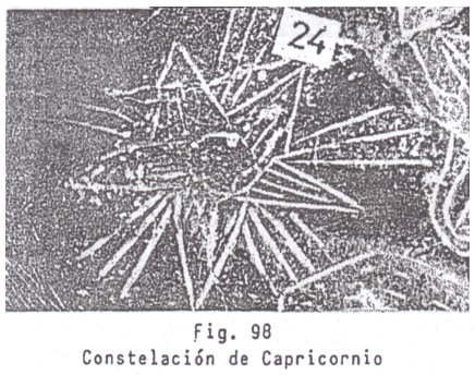 Fig. 98: la
                          constelacin de Capricornio