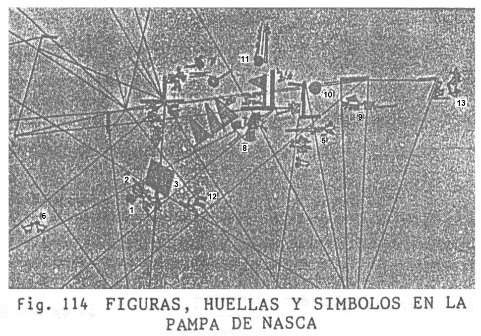 Fig.
                              114: una parte de la llanura de Nasca con
                              lneas, pistas y figuras