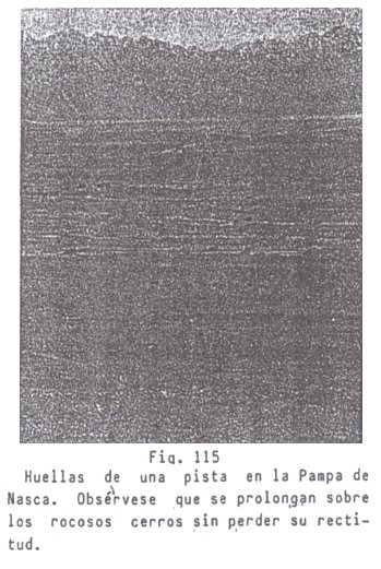 Fig.
                              115: una pista de Nasca